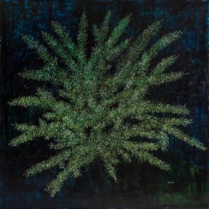 Shrub. 2018. 