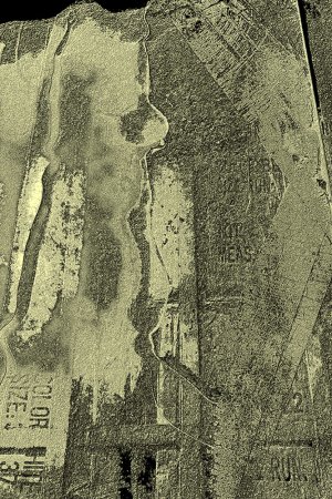 Metamorphoses Project. Monumental Composition No. 2. 2019. 