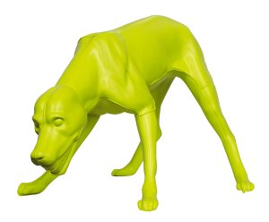 Pavlov’s Dog, 2016.