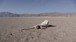 Snake on Holiday series frame 1, 2019.