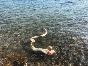 Snake on Holiday series frame 11, 2019.
