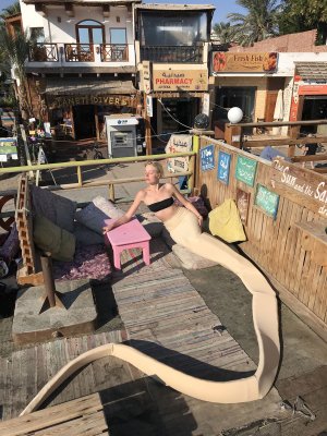 Snake on Holiday series frame 19, 2019.