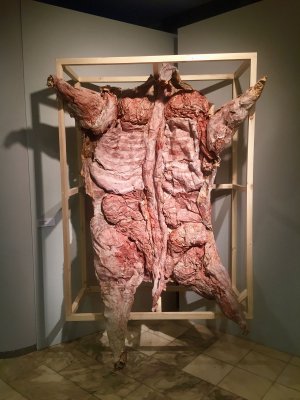 Meat Series. #4 (inspired by Rembrandt), 2015.